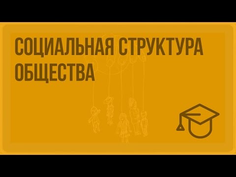 Видео: Социальная структура общества. Видеоурок по обществознанию 8 класс
