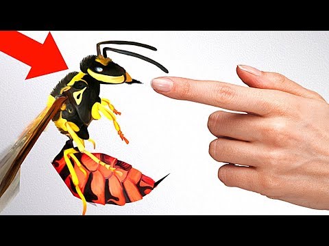 Видео: 10 Самых Болезненных Укусов в Мире