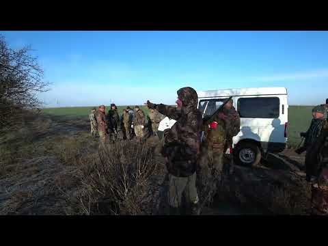 Видео: Коллективная охота на зайца. Раз, два, три... и домой с трофеями!!! Collective hunting for a hare