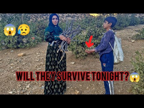 Видео: Бездомные мать и сын борются за выживание и оплату аренды!