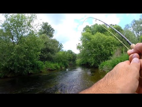 Видео: Кефали от р. Тунджа