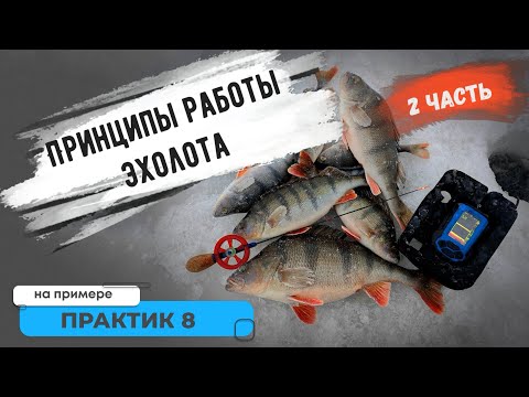 Видео: Принципы работы эхолота на примере эхолота Практик 8! Вторая часть.