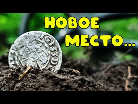 Видео: Нашел новое место с серебряными монетами и стариной! Коп в лесу летом с xp deus