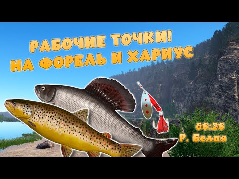 Видео: Русская рыбалка 4 - РАБОЧИЕ ТОЧКИ ФОРЕЛЬ И ХАРИУС! НА ТОП ПРИМАНКУ! Р. Белая!