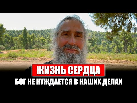 Видео: Как жить духовной жизнью сердцем, а не только умом?