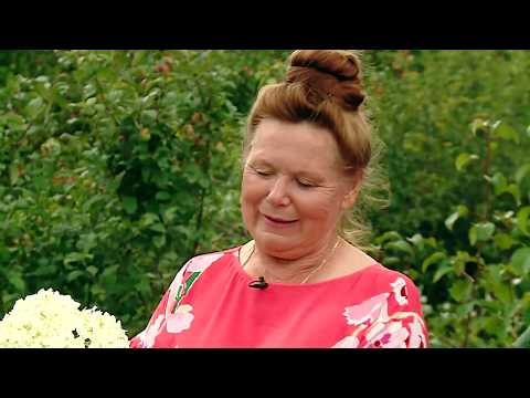 Видео: Гортензия. Шубина Людмила Николаевна. Сад Шубиной.