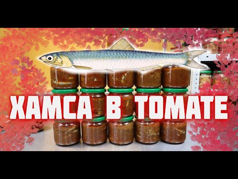 Видео: Хамса в томатном соусе в автоклаве  Рыбные домашние  консервы хамса  килька в томате в автоклаве