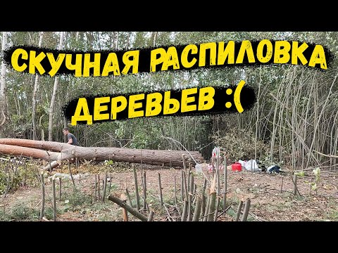 Видео: #6 Купил заброшенный участок для будущего дома/ РУТИННАЯ Работа/ 2022