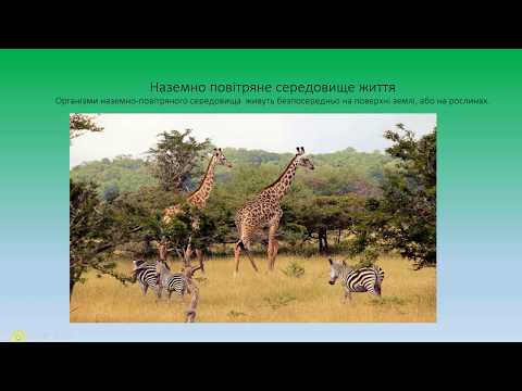 Видео: Наземно-повітряне середовище життя
