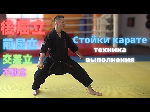 Видео: Стойки в карате и их названия. Техника выполнения и применение в поединке Косики карате.
