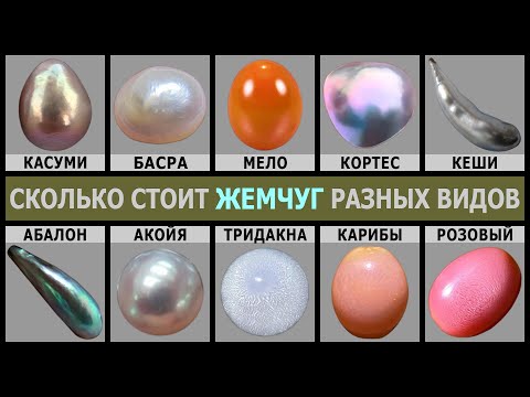 Видео: СКОЛЬКО СТОИТ ЖЕМЧУГ | ЦЕНА ЖЕМЧУГА РАЗНОГО ВИДА И ЦВЕТА | РЕДКИЙ ЖЕМЧУГ