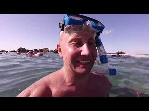 Видео: Albatros Citadel Sahl Hasheesh 5* август 2023