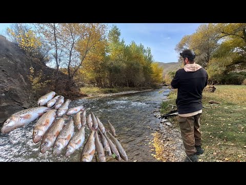Видео: Живописнейшие места, близ Алматы рыбалка в новых местах