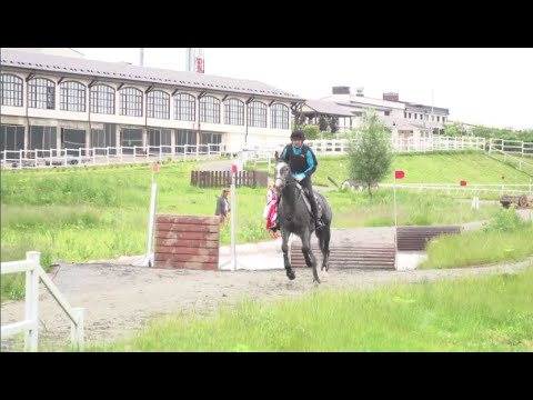 Видео: Тренировка по троеборью в MAXIMA PARK!