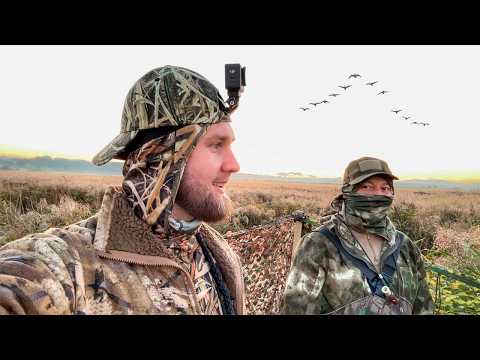Видео: ОХОТА на УТКУ в конце сентября | Налетают в упор | Охота с двустволкой CZ Mallard