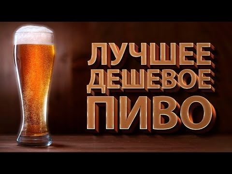 Видео: ЛУЧШЕЕ ДЕШЕВОЕ ПИВО