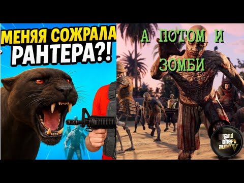 Видео: Замес с зомби. Меня убила пантера. Бункер в GTA 5 Online