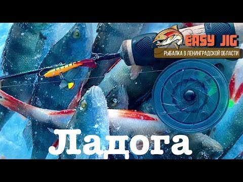 Видео: Ловля окуня на Ладоге. Блесна.Балансир.