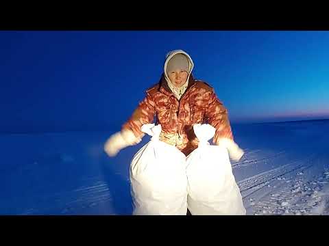 Видео: СТОЛЬКО рыбы мы еще НЕ ловили.. Уловистые снасти ..