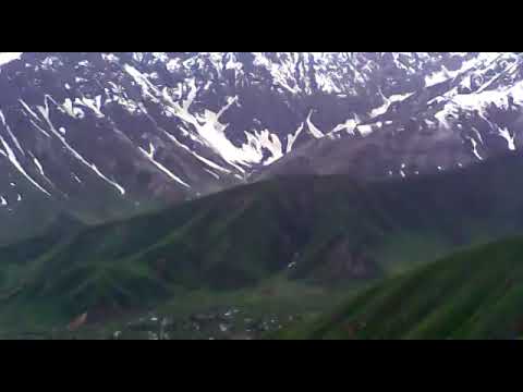 Видео: нуробод дегдонак