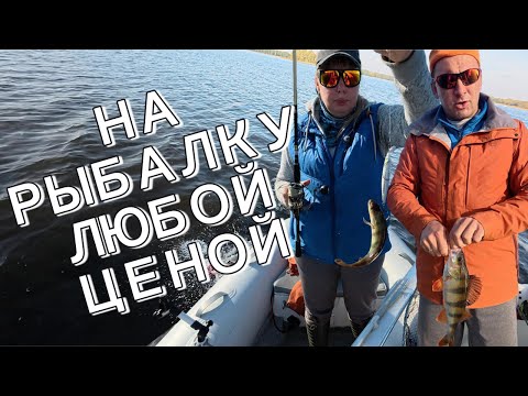 Видео: ЖОР ЩУКИ ПОШЁЛ!? БЕЗ ГОЛОСА- ЗАТО НА РЫБАЛКЕ!