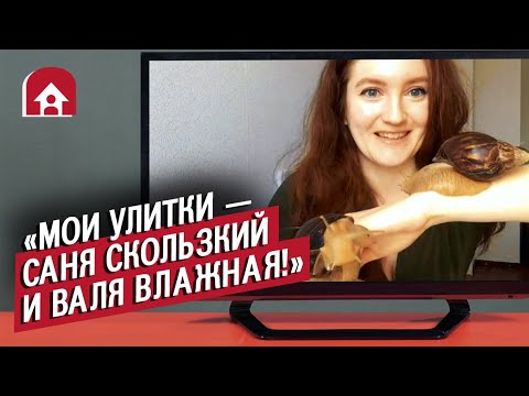 Видео: У них необычные домашние животные (КОНКУРС ВНУТРИ) | Неудобные вопросы