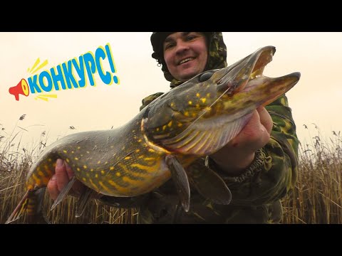 Видео: ЛОВЛЯ ЩУКИ на ЖЕРЛИЦІ 2025! КОНКУРС! ЗИМОВА РИБАЛКА 2025! ОКУНЬ на ЛІСОТКИ і БЛЕШНІ!