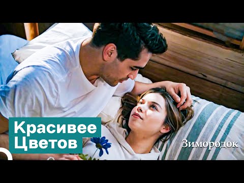 Видео: Начнем Ктро с Любовью | Зимородок