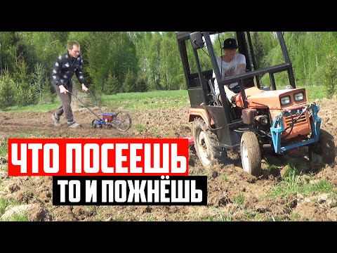 Видео: Фрезерую огород. Минитрактор Синтай 180. Ручная сеялка