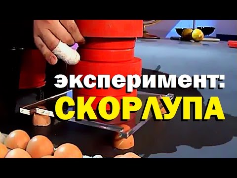 Видео: Галилео. Эксперимент. Скорлупа