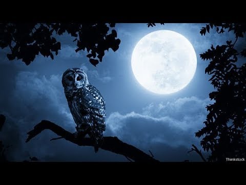 Видео: Луна. Самое интересное для детей и взрослых.