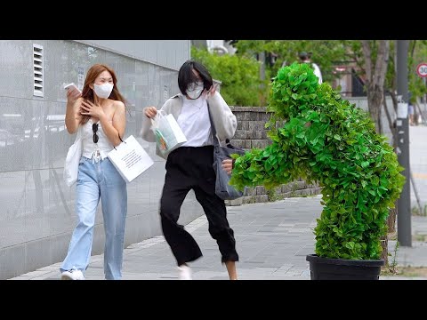 Видео: ЭТОТ КУСТ ЖИВ! Бушменский розыгрыш в Корее