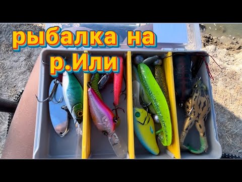 Видео: Рыбалка на реке Или #рыба #рыбалка #или #река #еда #отдых