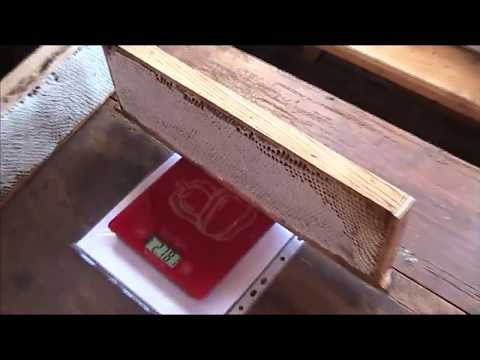 Видео: РАМКИ НЕСТАНДАРТНЫХ РАЗМЕРОВ