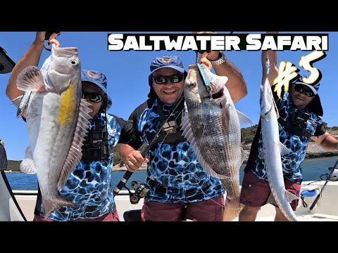 Видео: Супер рыбацкий день!!! Бесчисленное количество крупных рыб, пойманных на одну приманку!