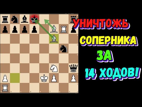 Видео: Гарантированная ПОБЕДА В СЕВЕРНОМ ГАМБИТЕ| Ловушка в СЕВЕРНОМ ГАМБИТЕ