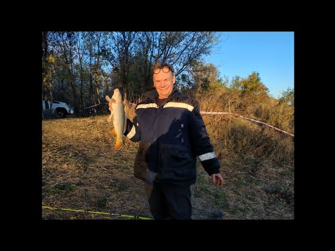 Видео: 28 октября 2025 г.