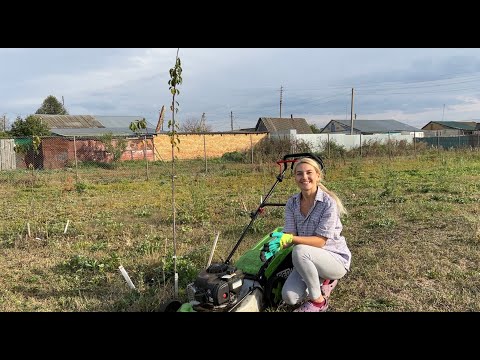 Видео: ТЕПЛЫЙ СЕНТЯБРЬ/ДВА ДНЯ В ДЕРЕВНЕ