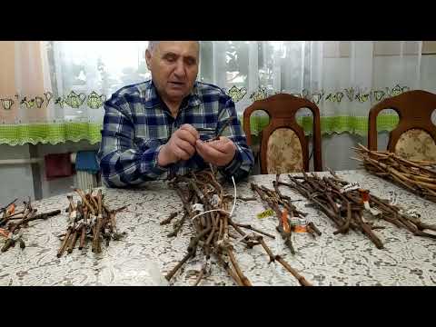 Видео: План прививок на 2025г. Что добавляем...