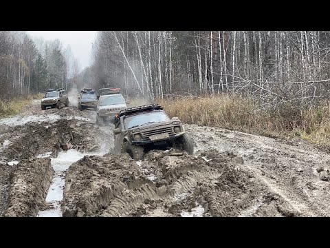 Видео: Таёжная экспедиция. Лесовозные дороги.