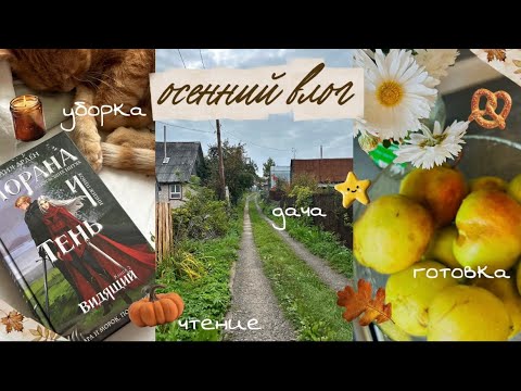 Видео: осенний влог 🧺🍁☕️📖 | выходной на даче, чтение, готовка, уборка 