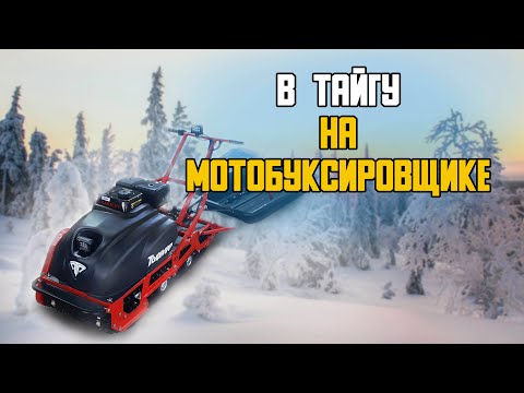 Видео: В тайгу на мотобуксировщике Тофалар 500 15 л/с.