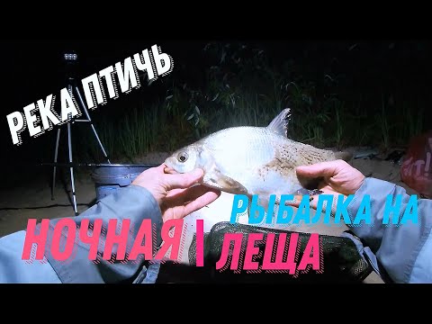 Видео: Ночная Рыбалка на Фидер на реке Птичь (Рыбалка 2020)