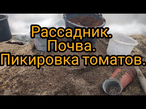 Видео: Рассадник. Почва. Пикировка томатов.