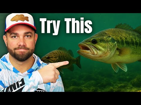 Видео: Мне все равно, что говорят другие... это самое важное в ЛОВЛЕ ОКУНЯ.