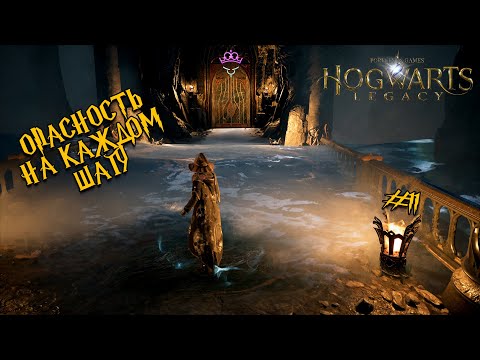 Видео: Смертельная пещера ♛ Hogwarts Legacy [4K] ♛ Прохождение #11