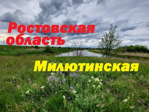 Видео: красота Ростовской области станицы Милютинская,Тацинская,Жирнов