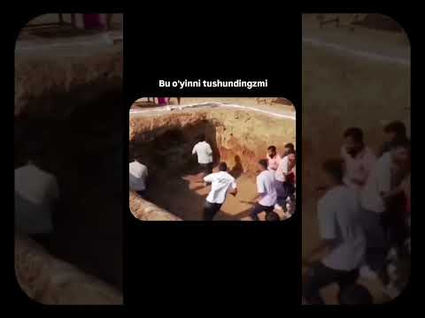 Видео: 2 ноября 2025 г.