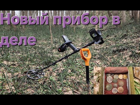 Видео: Пополняю коллекцию монет с металлоискателем Minelab Equinox 900