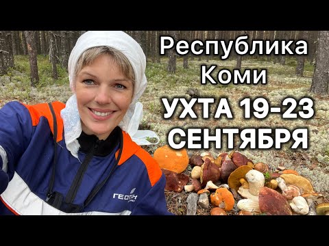 Видео: #Ухта …МИКС Сентябрь 19-23…Республика Коми 2025/за белыми грибами/в поля-квасильня/семга/боулинг